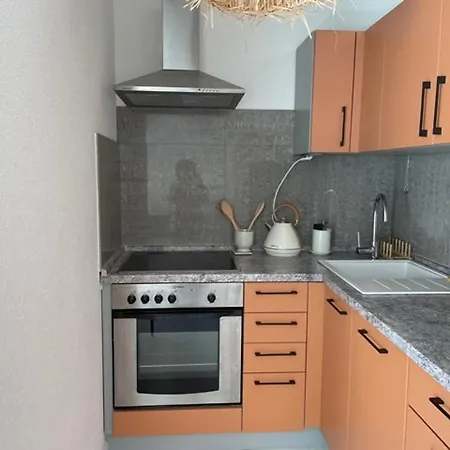 Renove Avec Climatisation, Terrasse Et Parking Prive - Fr-1-731-96 Apartment Le Grau-du-Roi
